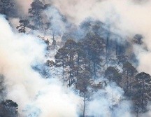 Jalisco es el más afectado por incendios en bosques