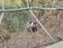 Los oficiales acudieron aproximadamente a las 18:00 horas, a la brecha ubicada en los cruces de Panorámica y Ahuacatlán, al interior de la barranca. CORTESÍA