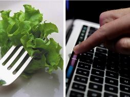 Hay carreras universitarias que distan de lo tradicional y aquí te compartimos detalles. AP / ARCHIVO