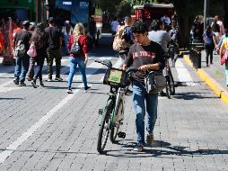 Según el corte de viajes realizados del 1 de enero al 31 de diciembre del 2023, los usuarios de MiBici realizaron 4 millones 292 mil 913 viajes, de los cuales, un millón 134 mil 853 fueron de personas de 25 a 29 años de edad. EL INFORMADOR / ARCHIVO