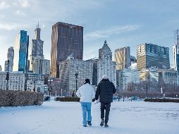 El Grant Park, en el centro de Chicago, luce blanco por las constantes nevadas que azotan la región. XINHUA