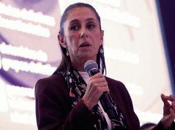 En la reunión con la American Society de México, señaló que el Gobierno debe garantizar el sistema de salud. EFE