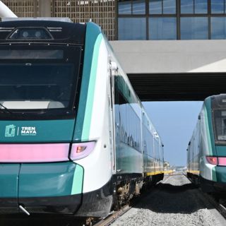 Aceleran obras en Tramo 5 del Tren Maya y recubren cavernas