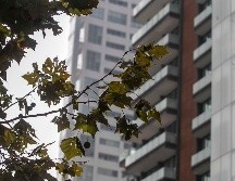 México ocupa tres lugares en la lista, Ciudad de México, Monterrey y Guadalajara perfilan como ciudades muy caras en toda América Latina. EL INFORMADOR / ARCHIVO