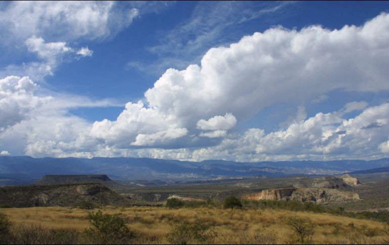Los límites entre Zacatecas y Jalisco han sido en los últimos años una zona compleja en cuanto a seguridad se refiere. EL INFORMADOR / ARCHIVO