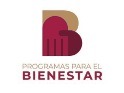La secretaria del Bienestar, Ariadna Montiel, dio a conocer las formas de pago para cada beneficiario. X/@apoyosbienestar