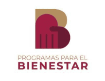La secretaria del Bienestar, Ariadna Montiel, dio a conocer las formas de pago para cada beneficiario. X/@apoyosbienestar