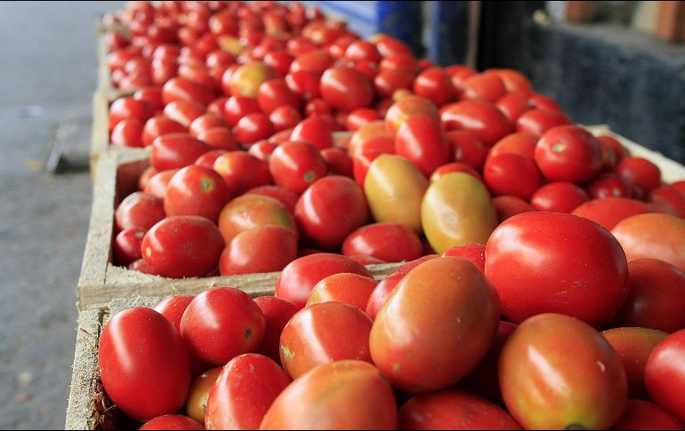 De acuerdo con el reporte 