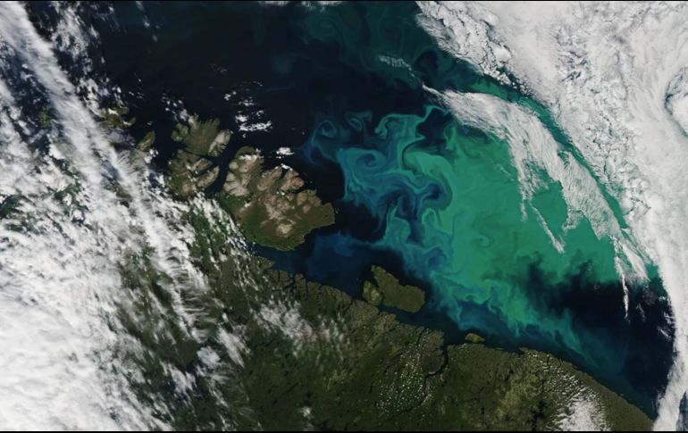 Con el nuevo satélite de observación de la Tierra de la NASA, llamado: Plancton, Aerosoles, Nubes y Ecosistemas Oceánicos (PACE), los investigadores podrán estudiar más. ESPECIAL / NASA /  Observatorio de la Tierra