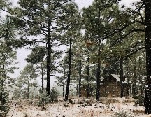 Paisajes de Chihuahua. ESPECIAL/FIDEICOMISO PARA LA PROMOCIÓN TURÍSTICA DEL ESTADO DE CHIHUAHUA ¡AH CHIHUAHUA!.