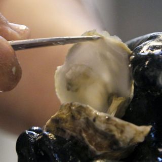 Funcionarios de California piden no comer ostras crudas procedentes de México por posible infección