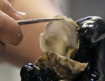 Funcionarios de San Diego dijeron que hay 69 casos confirmados de norovirus. EFE/J. Guillén.