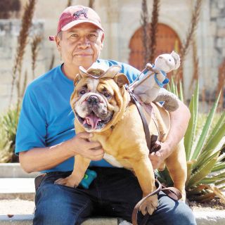 ¿Por qué los perros jadean rápido?