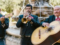 ¡Échele, mi Mariachi!