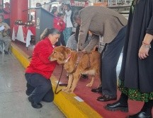 A Akira se le hizo entrega de una pechera por sus años de servicio. EL INFORMADOR / J. VELAZCO