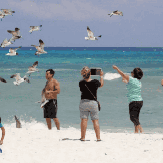 LFT: ¿Cuáles son los días de descanso obligatorio en 2024?