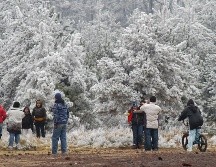 Las condiciones meteorológicas son propicias para la caída de nieve o aguanieve en el norte del país. NOTIMEX/Achivo