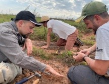 Sus fósiles, fueron encontrados en una granja de la zona rural del municipio de Rosário do Sul. EFE/ A. Dias