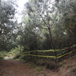 Investigan hallazgo de restos humanos en fosa clandestina en Hidalgo