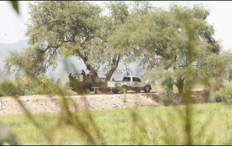 Entre los animales exoticos habia: un león, una leona, un tigre, un jaguar, dos pavorreales y dos caballos. EL INFORMADOR/ ARCHIVO