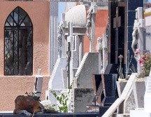 El Inegi resaltó que el COVID-19 dejó de aparecer entre las 10 principales causas de muerte, con solo 3 mil 206 en el periodo. EL INFORMADOR / ARCHIVO