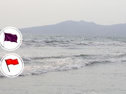 Se recomienda a la ciudadanía que, en caso de observar a algún cocodrilo llame a las autoridades correspondientes y no se acerque a él para tomar fotos o videos, pues la agilidad del animal podría derivar en un percance. EL INFORMADOR / ARCHIVO