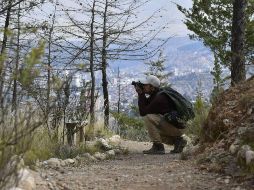 En esta fecha se creó el Colegio de Biólogos de México en 1961. EFE / ARCHIVO