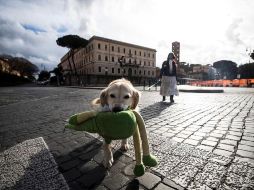 El descuento forma parte de la medidas adoptadas para los ciudadanos a través de 