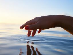 Sumergirse en el agua no solo es un placer refrescante, sino también un ejercicio completo e ideal, ya que aligera la carga sobre las articulaciones. ESPECIAL / Foto de Yoann Boyer en Unsplash