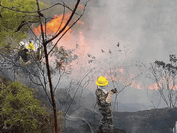 Las Brigadas de Refuerzo Forestal de los cuerpos de bomberos de Quito se han sumado a los esfuerzos para combatir el incendio. X/@ComentarioUdeC