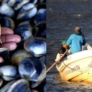 Cofepris lanza veda sanitaria por marea roja en este estado