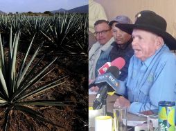 “A los tequileros les conviene darnos el trato justo y debido a los agaveros”, dijo Francisco Javier Guzmán de la Torre, presidente de El Barzón Agavero. AFP/ ARCHIVO / EL INFORMADOR / J. VELAZCO