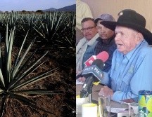 “A los tequileros les conviene darnos el trato justo y debido a los agaveros”, dijo Francisco Javier Guzmán de la Torre, presidente de El Barzón Agavero. AFP/ ARCHIVO / EL INFORMADOR / J. VELAZCO