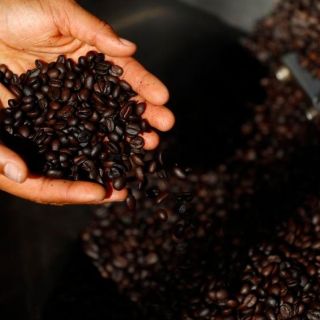 ¿Qué estado produce el mejor café de México?