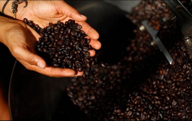 Hay varios estados que producen buen café en México, ¿cuál es el mejor? EFE / ARCHIVO