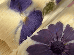 Este próximo 2 de febrero es la fecha donde todos los mexicanos comemos tamales. ESPECIAL / TIKTOK / @alejandradenava7