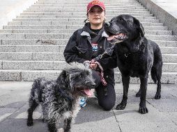 Los perros pequeños podrían experimentar enfermedades como: oculares o cardíacas. SUN/ G. Espinosa