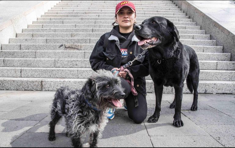 Los perros pequeños podrían experimentar enfermedades como: oculares o cardíacas. SUN/ G. Espinosa