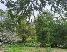 La Fiscalía de Jalisco no ha informado sobre a cuántas personas pueden corresponder los restos humanos. ESPECIAL