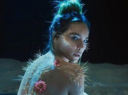 Al final del videoclip de la canción, Belinda se tranforma en un cactus que florece. ESPECIAL