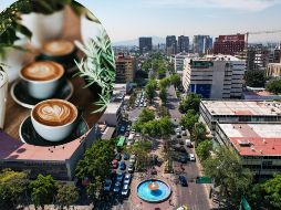 Estas son las mejores cafeterías de Guadalajara, según TripAdvisor
