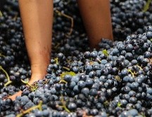 Este fin de semana ocurrirá un evento imperdible en un municipio de Jalisco, muy cerca de Guadalajara. NOTIMEX / ARCHIVO