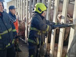 Los hechos ocurrieron a la altura del kilómetro 4+800 en Cuautitlán Izcalli, Estado de México. X/ @GobIzcalli