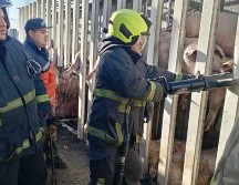 Los hechos ocurrieron a la altura del kilómetro 4+800 en Cuautitlán Izcalli, Estado de México. X/ @GobIzcalli
