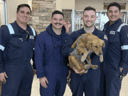 Un grupo de rescate, Forever Changed Animal Rescue, se ha hecho cargo de ella y está trabajando para que esté sana y lista para ser adoptada. AP