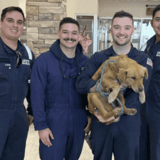 En un puerto de Texas rescatan a perrita atrapada por más de una semana en un contenedor
