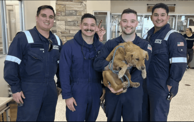 Un grupo de rescate, Forever Changed Animal Rescue, se ha hecho cargo de ella y está trabajando para que esté sana y lista para ser adoptada. AP