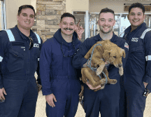 Un grupo de rescate, Forever Changed Animal Rescue, se ha hecho cargo de ella y está trabajando para que esté sana y lista para ser adoptada. AP