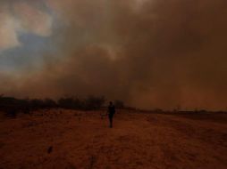 “Se nos ha actualizado la cantidad, lamentable, de personas fallecidas en esta emergencia por parte del Servicio Médico Legal (SML) y ha ascendido a 56”, dijo la delegada presidencial de la región, Sofía González. EFE / A. DÍAZ