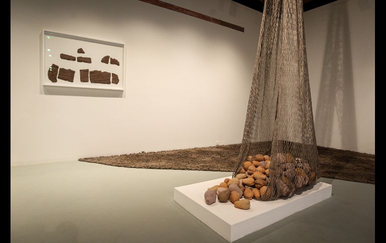 Confiesa Cynthia Gutiérrez que en su trabajo le interesa mucho romper los límites. EL INFORMADOR / H. Figueroa